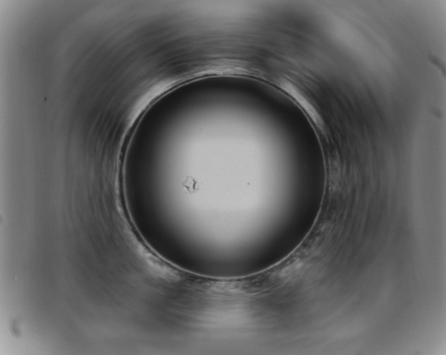 X0000097890861200803141331