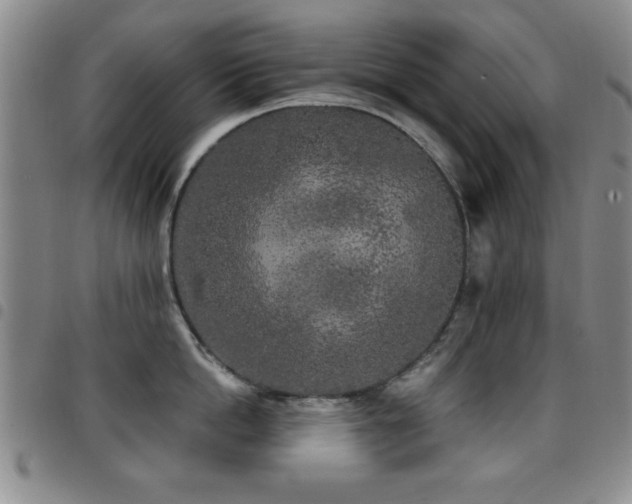 X0000097890862200803141331