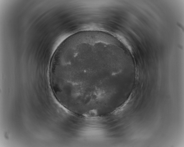 X0000097890863200803141331