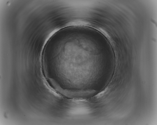X0000097890864200803141331