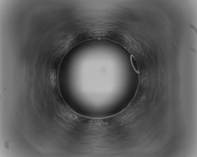 X0000097890866200803141331