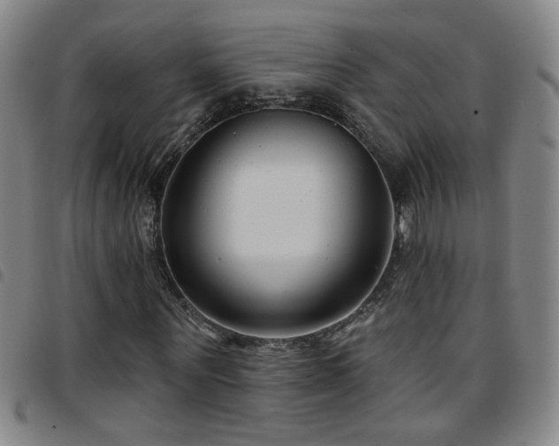 X0000097890867200803141331