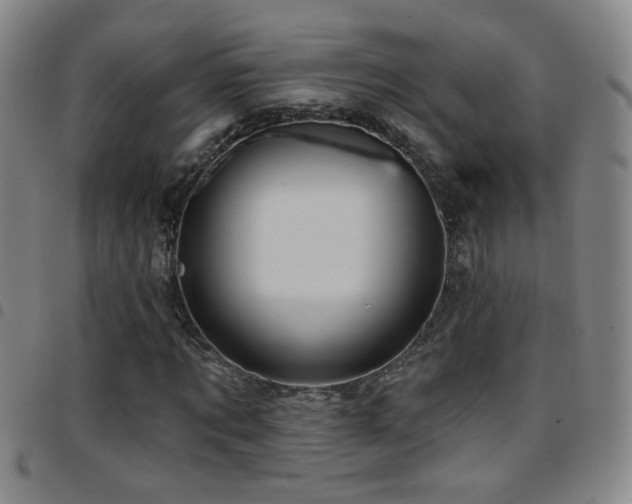 X0000097890869200803141331