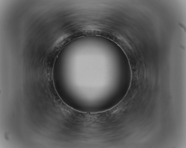 X0000097890870200803141331
