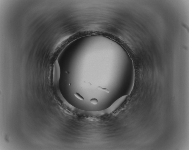 X0000097890872200803141331