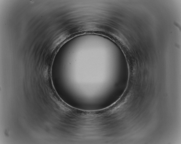 X0000097890873200803141330