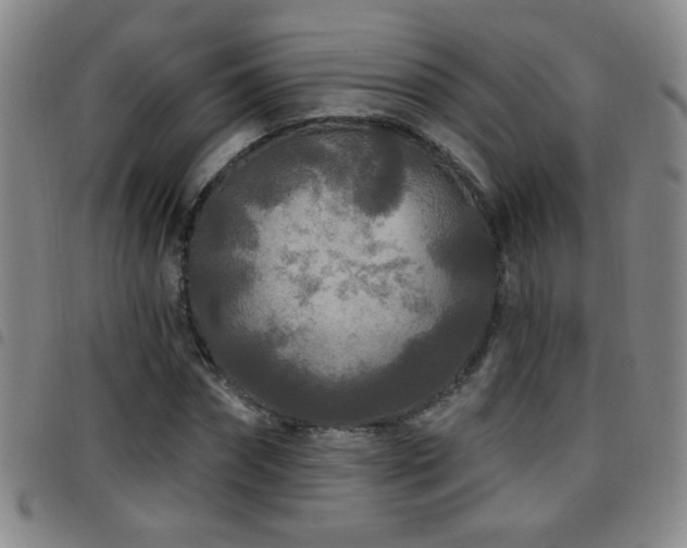 X0000097890874200803141330
