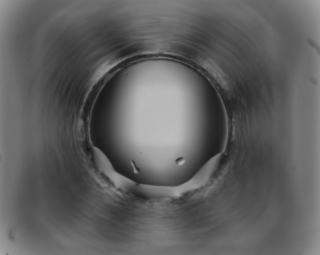 X0000097890876200803141330