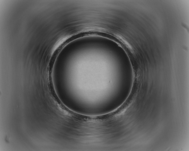X0000097890877200803141330