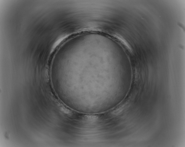 X0000097890878200803141330