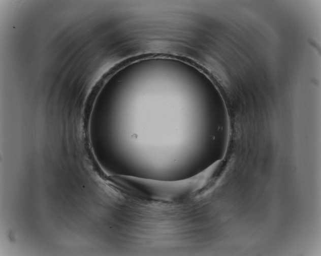 X0000097890880200803141330
