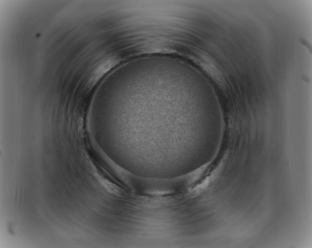 X0000097890881200803141330