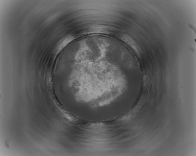 X0000097890882200803141330