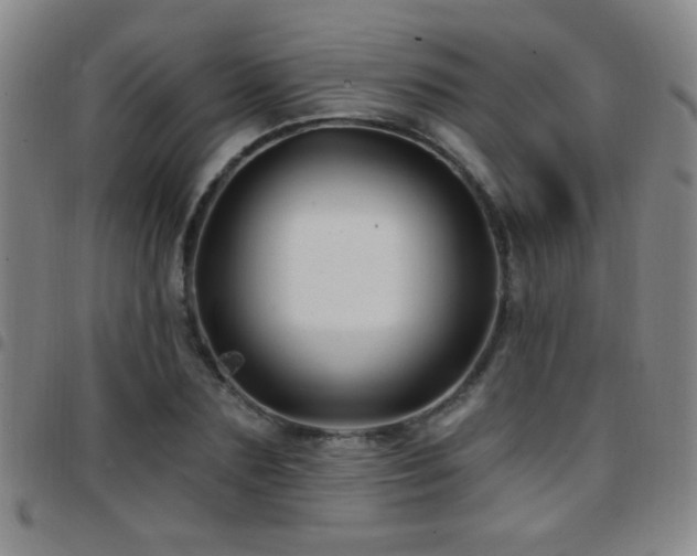 X0000097890883200803141330