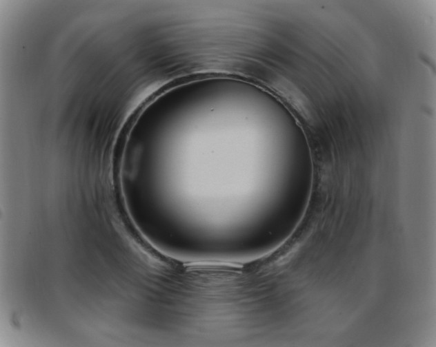 X0000097890884200803141330