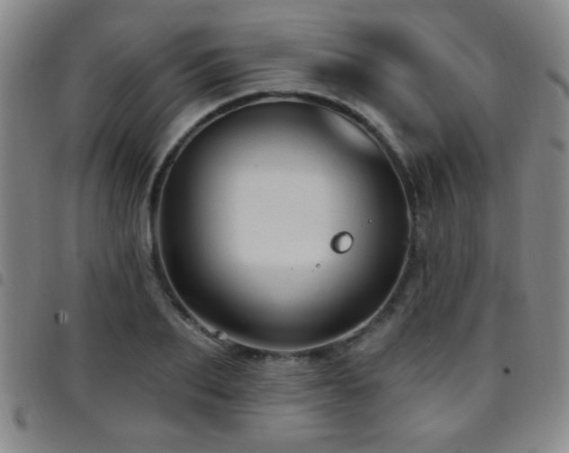 X0000097890887200803141330