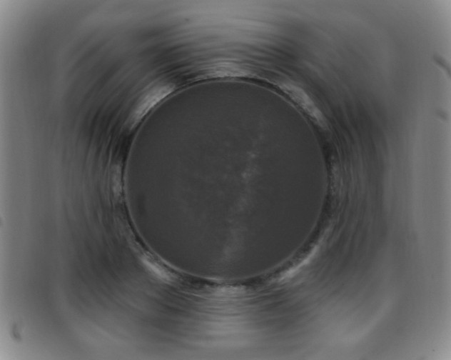 X0000097890889200803141330