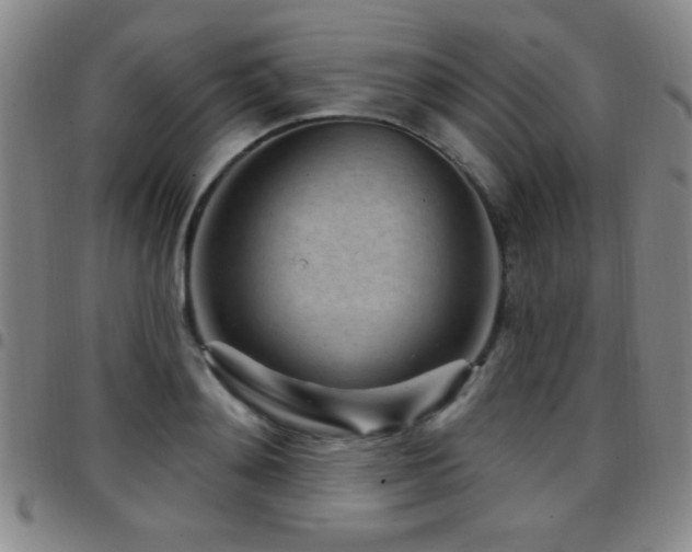 X0000097890892200803141330