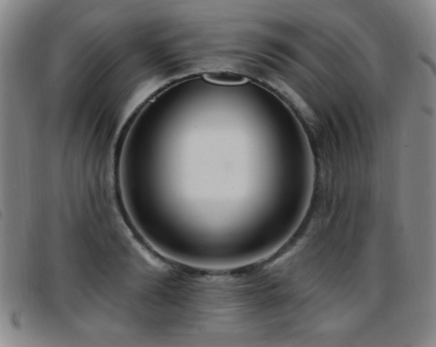 X0000097890894200803141330