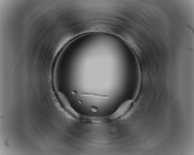 X0000097890896200803141330