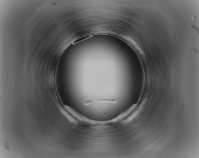 X0000097890897200803141330