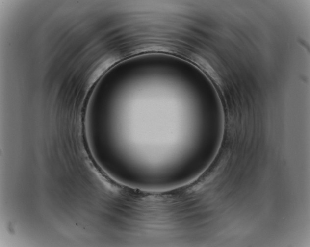 X0000097890898200803141330
