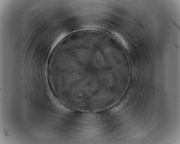X0000097890899200803141330
