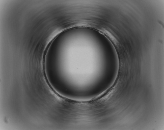 X0000097890902200803141330