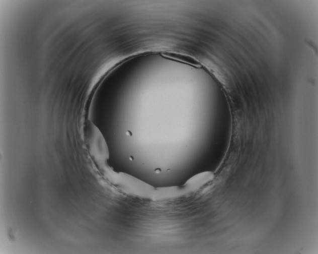 X0000097890904200803141330