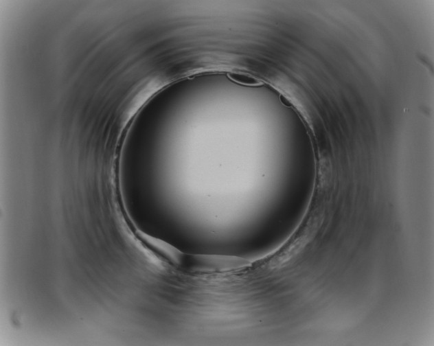 X0000097890906200803141330