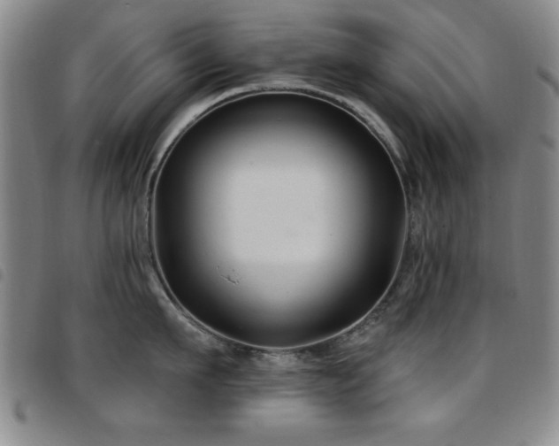 X0000097890911200803141330