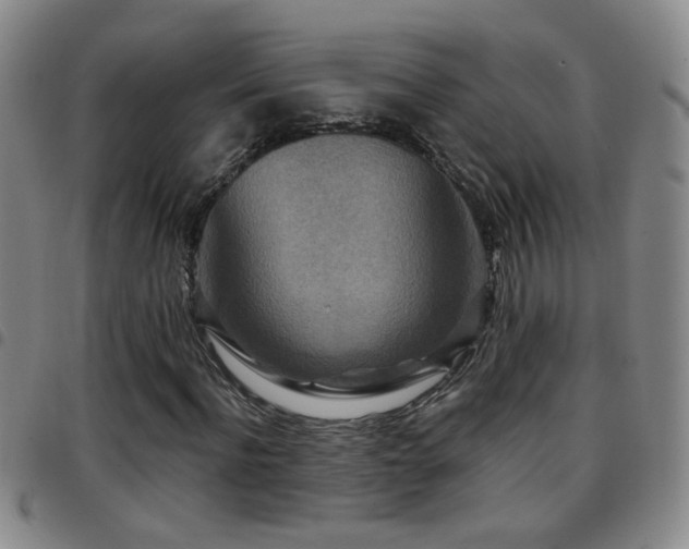 X0000097890916200803141329