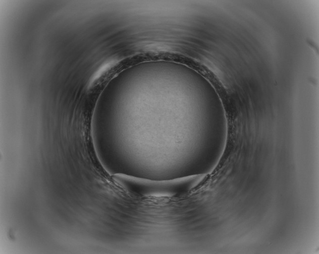 X0000097890919200803141329