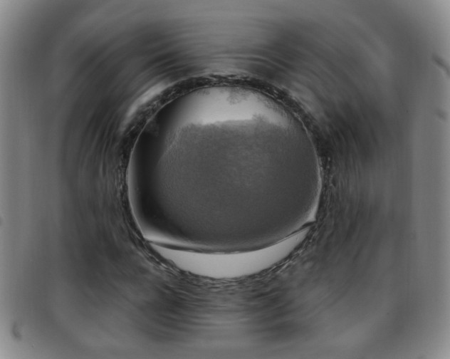 X0000097890920200803141329