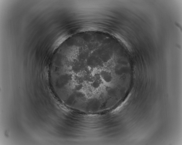 X0000097890921200803141329