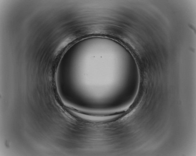 X0000097890922200803141329
