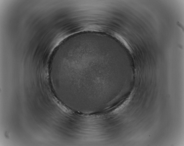 X0000097890923200803141329