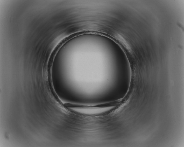X0000097890924200803141329