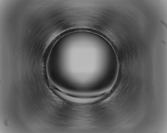 X0000097890926200803141329