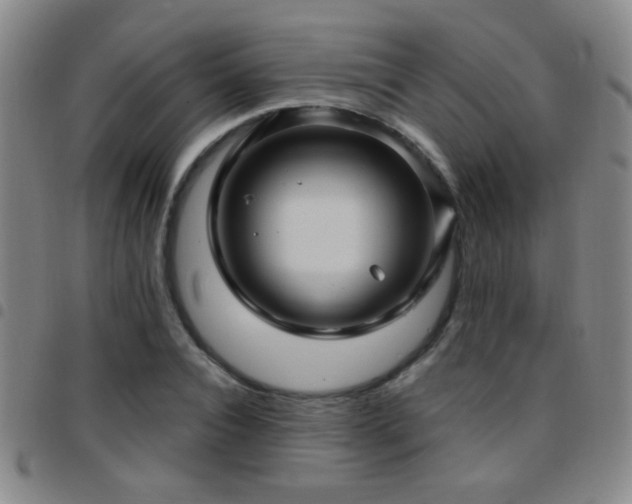 X0000097890928200803141329