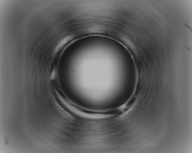 X0000097890930200803141329
