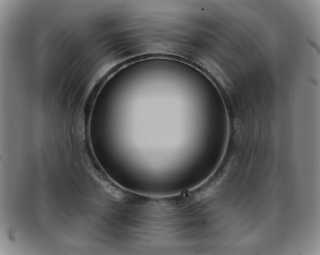X0000097890931200803141329