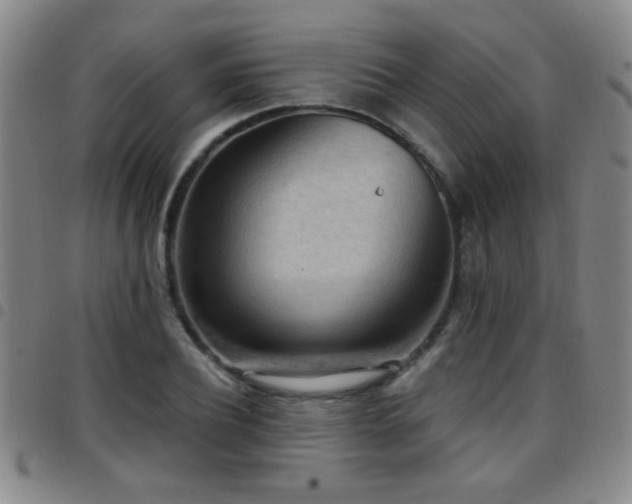 X0000097890932200803141329