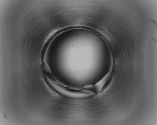 X0000097890934200803141330