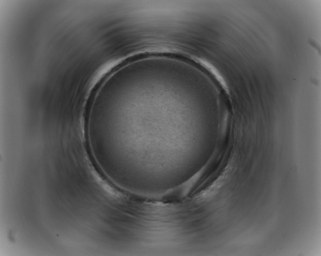 X0000097890935200803141330