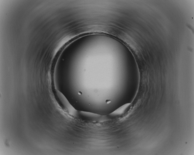 X0000097890936200803141330