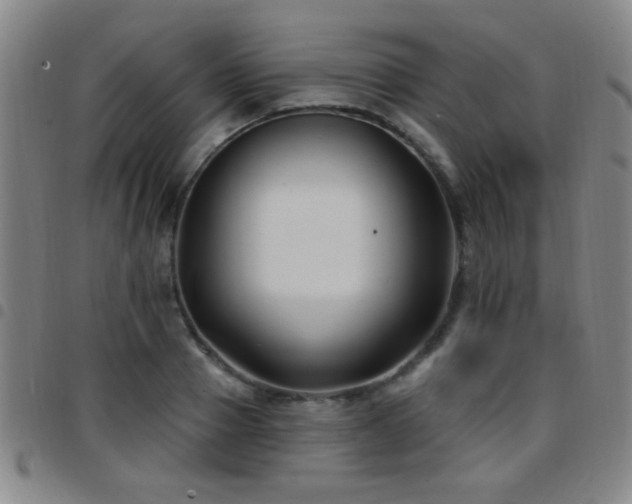 X0000097890937200803141330