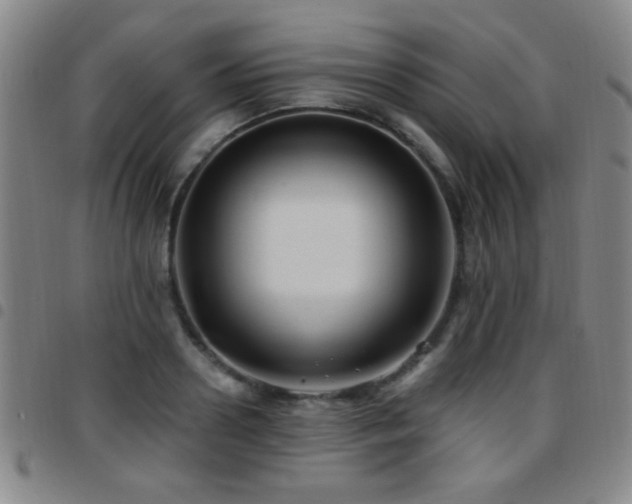 X0000097890938200803141330