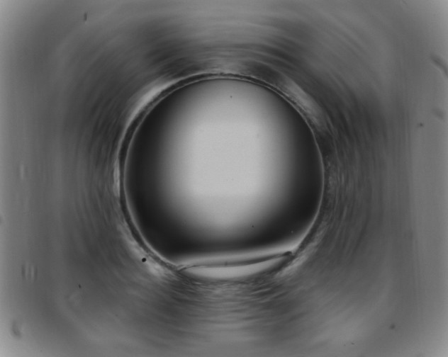 X0000097890940200803141330