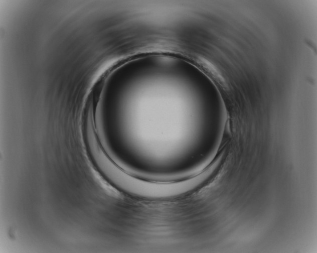 X0000097890942200803141330